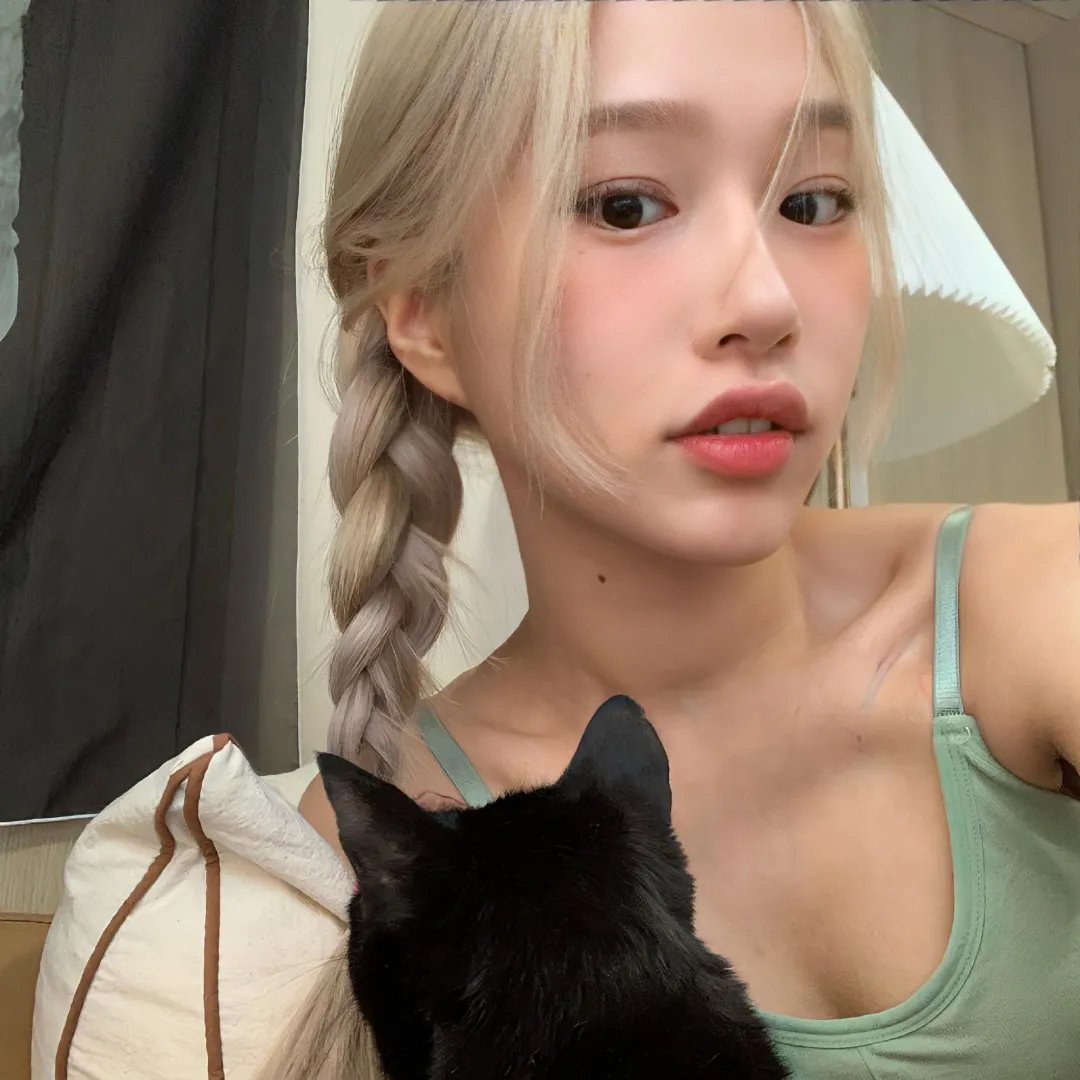 赖猫的狮子倒影